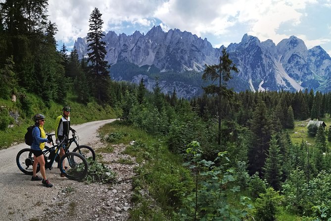 Guided E-Bike Tour of the Alpine Pastures in the Salzkammergut - Customer Feedback