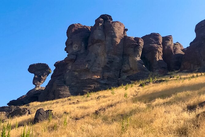 Guided Half-Day Scenic Tour - Off The Beaten Path - Guest Feedback