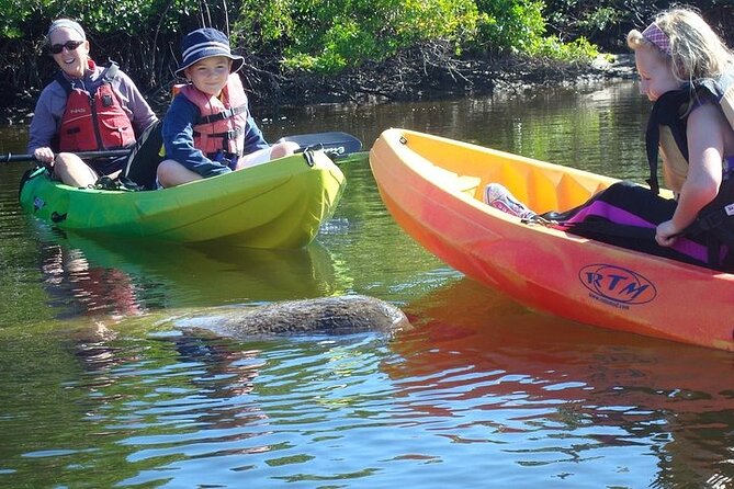 Guided Kayak Eco Tour in Pelican Bay - Traveler Feedback