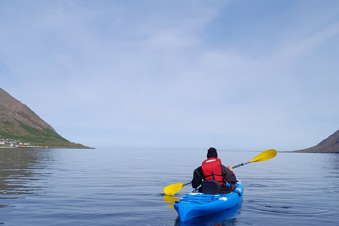 Guided Kayak Tour in Siglufjordur. - Tour Highlights