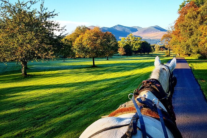 Guided Killarney National Park Tour - Cancellation Policy and Reviews