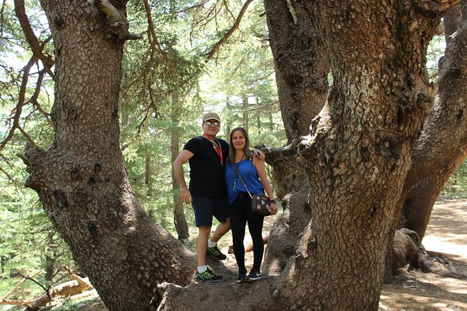 Guided Small Group to Cedars Reserve & Beiteddine W/Lunch+Entries - Booking Information