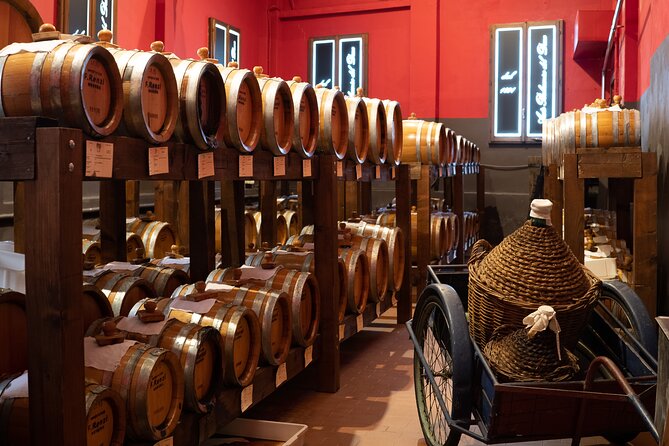 Guided Tour and Tasting in Acetaia in Modena - Highlights of the Experience