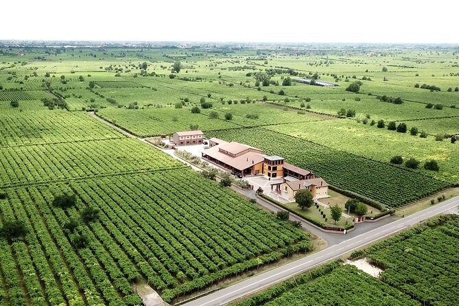 Guided Tour and Wine Tasting in the Sandro De Bruno Winery - Wine Tasting Experience
