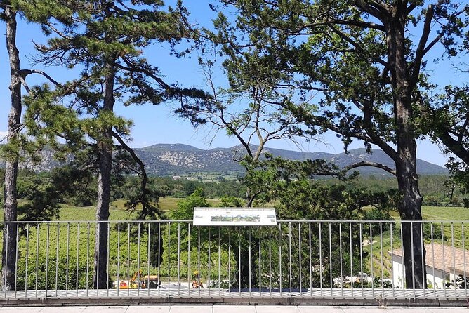 Guided Tour of a Winery in Vacquières With Wine Tasting - Cancellation and Refund Policy