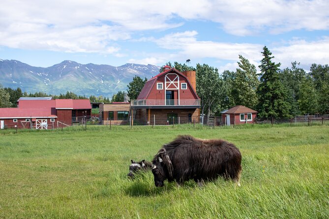 Guided Tour of Musk Ox Farm & Scenic Drive From Anchorage - Scenic Drive Experience