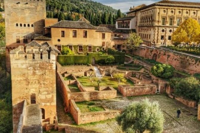 Guided Tour of the Alhambra and Nasrid Palaces. - Accessibility and Facilities
