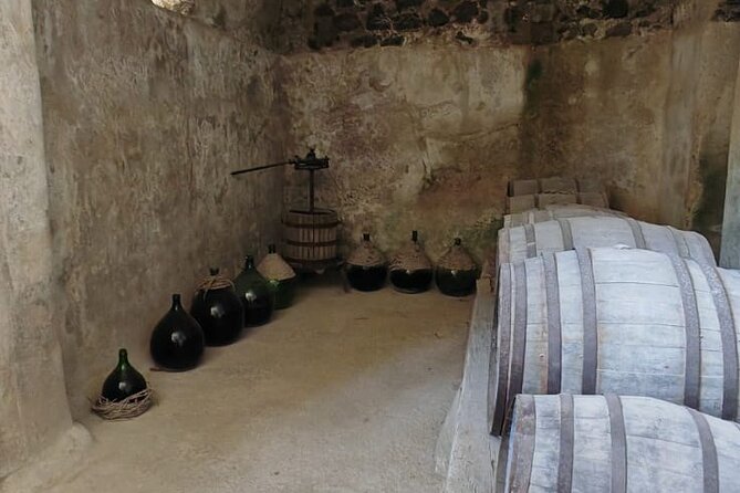 Guided Tour of the Aragonese Castle in Ischia - Exploring the Castles History