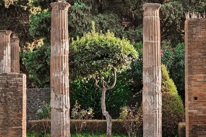 Guided Tour to Pompeii From Sorrento - Additional Information