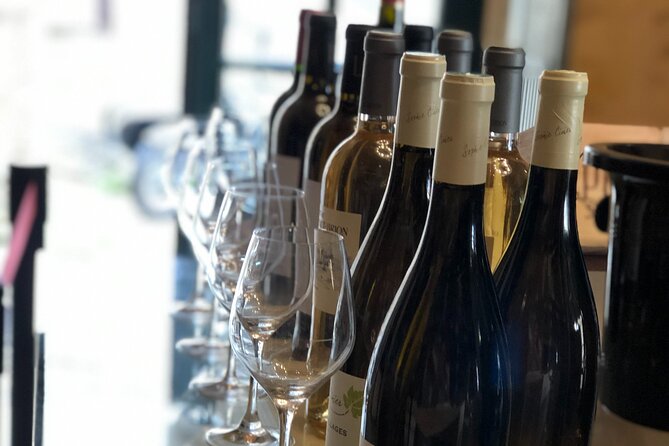 Guided Vineyard Tour With Wine Tasting in Saint-Émilion - Traveler Experience