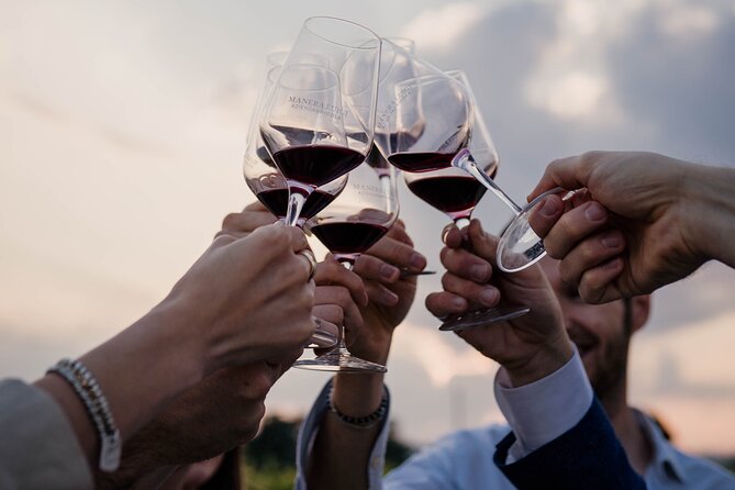 Guided Visit and Wine Tasting at the Winery in Veneto - The Wine Tasting Experience