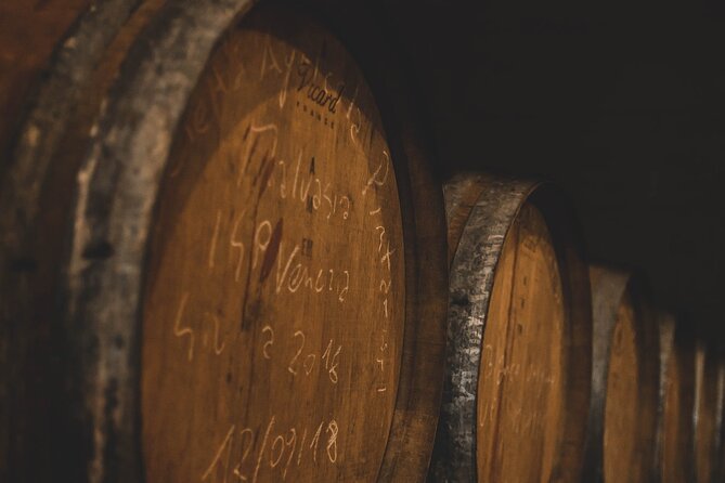 Guided Visit to the Vineyard With Wine Tasting - Overview of the Experience