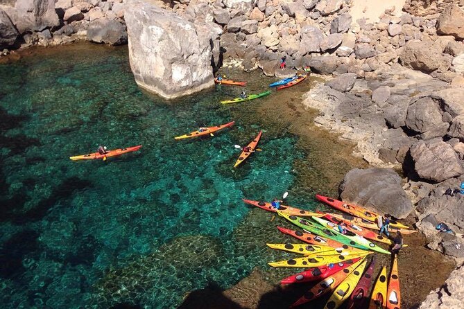 Half Day Activity Kayak Excursion in Ibiza - Customer Reviews and Ratings