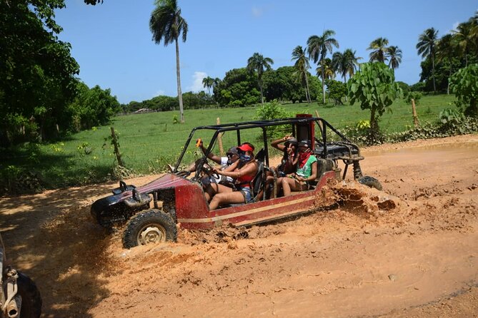 Half-Day Buggies Tour in Puerto Plata Especially for Cruisers - Tour Highlights and Experiences