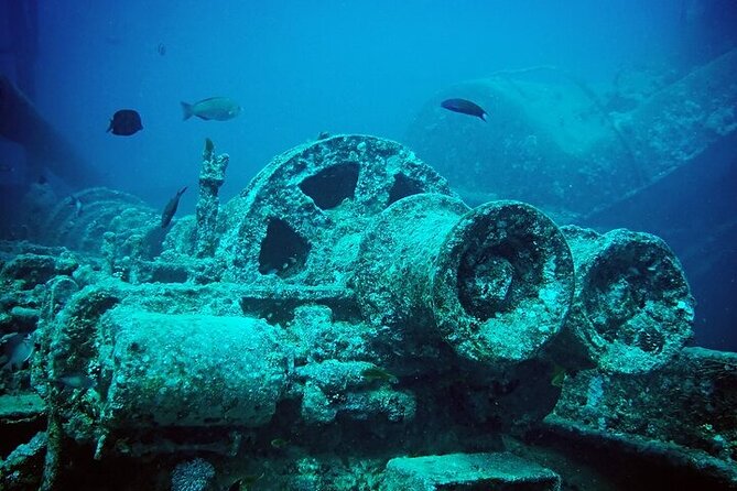 Half Day Bus Tour of Ras Mohammed National Park From Sharm Hotels - Frequently Asked Questions