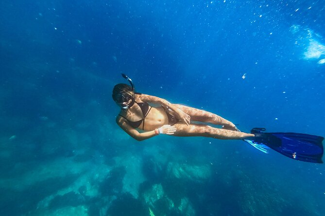 Half Day Cabo Snorkel Adventure With Lunch and Open Bar - Pickup Details and Accessibility