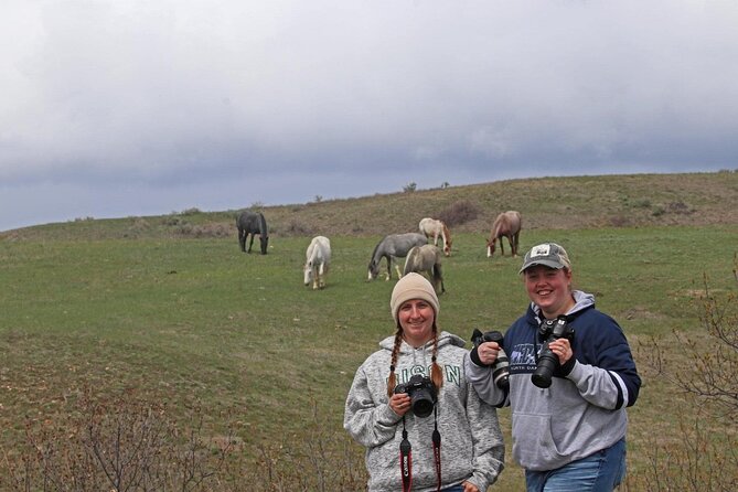 Half Day Chasing Horses Wildlife Photography Experience in North Dakota - Reviews and Pricing