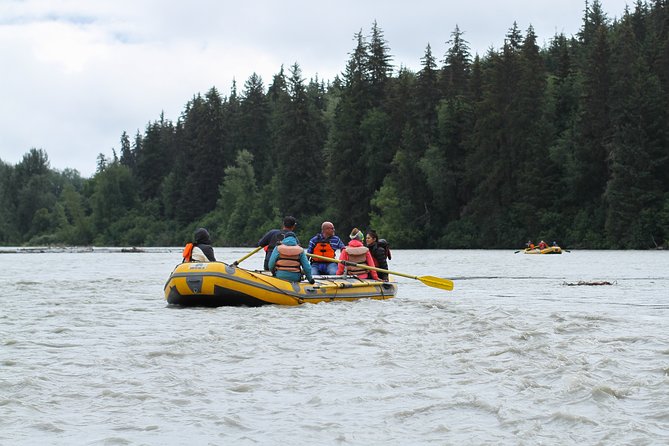 Half-Day Chilkat Bald Eagle Preserve Float Tour - Scenic Highlights