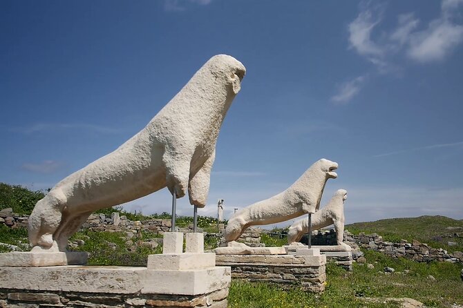 Half Day Delos Tour of Mykonos From the Cruise Ship Port - Recommendations for Travelers