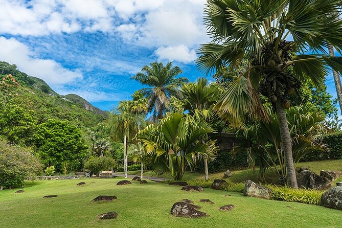 Half Day Discovery Tour of Victoria - Seychelles Capital on Mahe Island - Tour Highlights