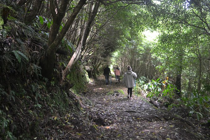 Half Day Hiking Tour Janela Do Inferno and Lagoa Do Fogo - Inclusions and Additional Fees