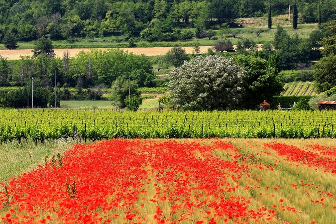 Half Day Hilltop Villages of Luberon Tour From Avignon - Reviews and Feedback