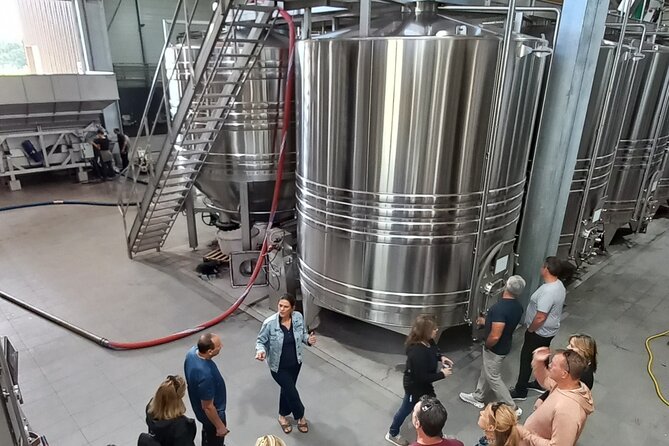 Half-Day in the Bordeaux Vineyard and Wine Tastings - Additional Information