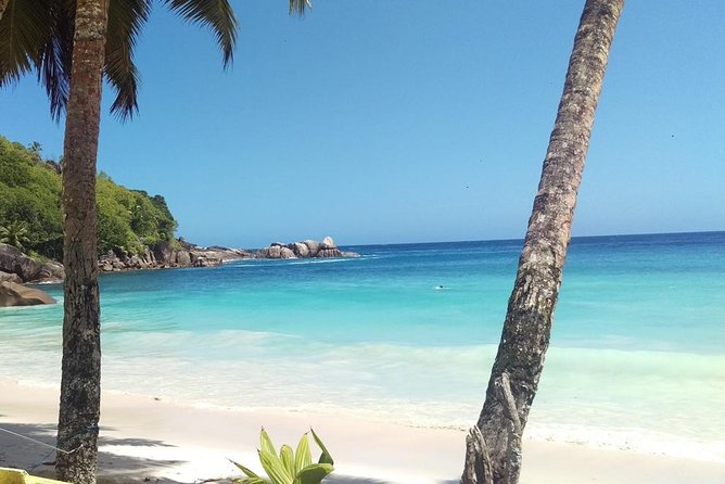 Half-Day Mahe Private Tour - Customer Feedback