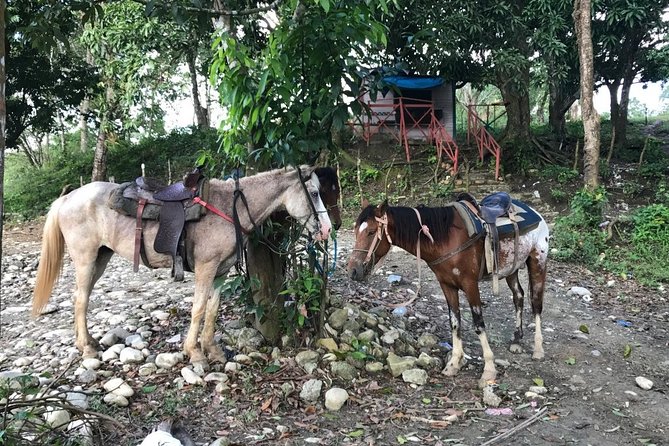 Half-Day Mountain Ride in Puerto Plata - Safety and Accessibility