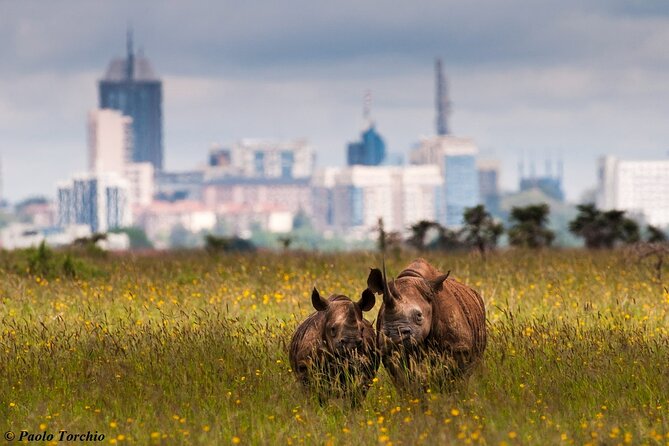 Half Day Nairobi National Park - Frequently Asked Questions