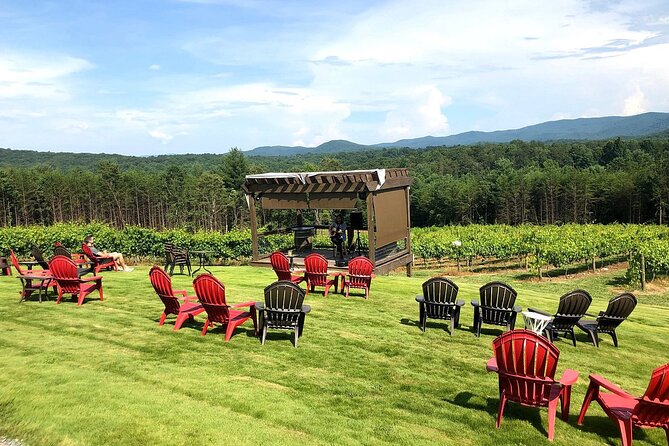Half-Day North Georgia Wine Country Tour From Atlanta - Wine Tasting Experience