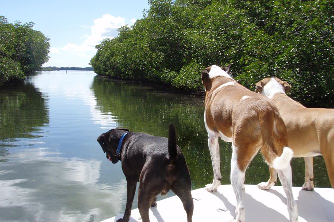 Half Day Private Boat Tour - Relaxation at Sandbar