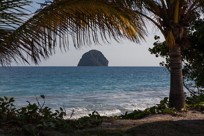 Half Day Private Custom Tour of Martinique - Booking Information
