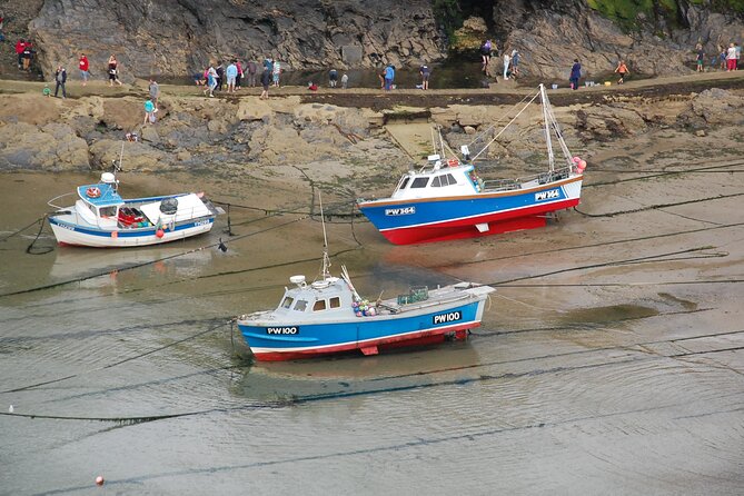 Half-Day Private Doc Martin and Fishermans Friends Tour - Sum Up