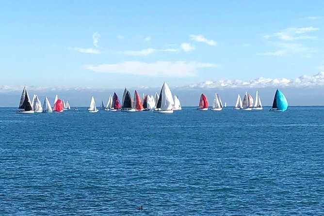 Half-Day Private French Riviera Tour From Nice - Customer Reviews and Ratings
