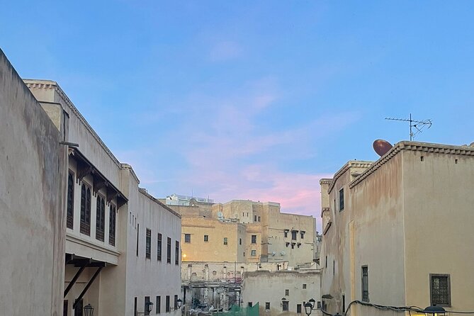 Half Day Private Guided Tour of the Medina of Fez - Tour Availability