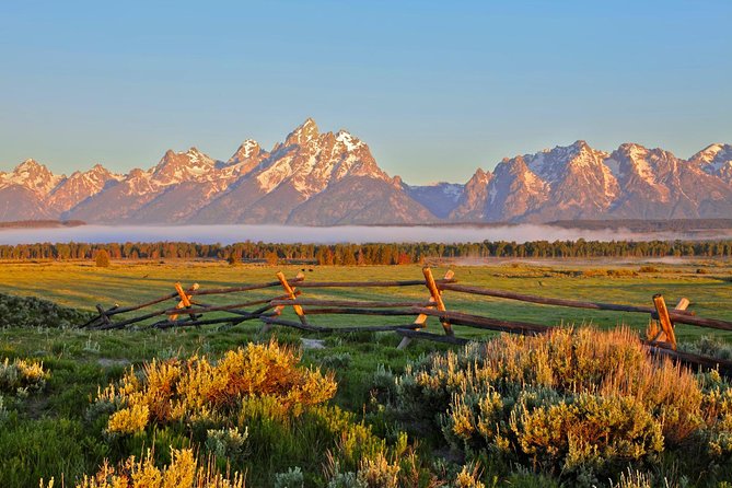 Half Day Private Sunrise Wildlife Safari - Additional Information