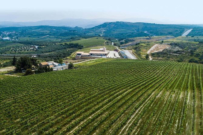 Half-Day Private Tour in Two Wineries and Archanes From Heraklion - Exploring Wineries
