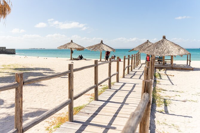 Half Day Private Tour of the Beaches of La Paz - Traveler Feedback