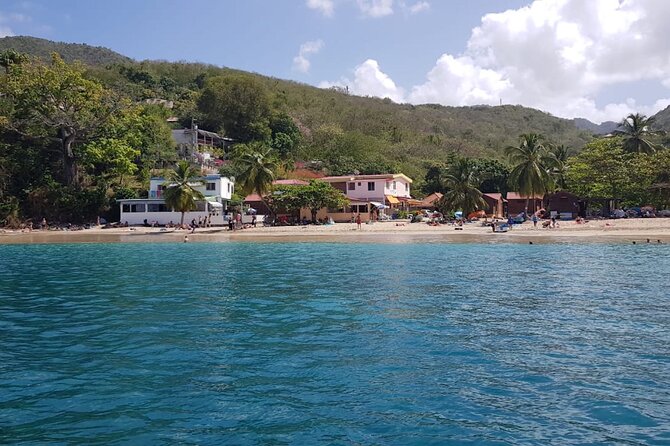 Half Day Private Tour South Martinique (Coral Beds & Turtles) - Highlights of the Tour