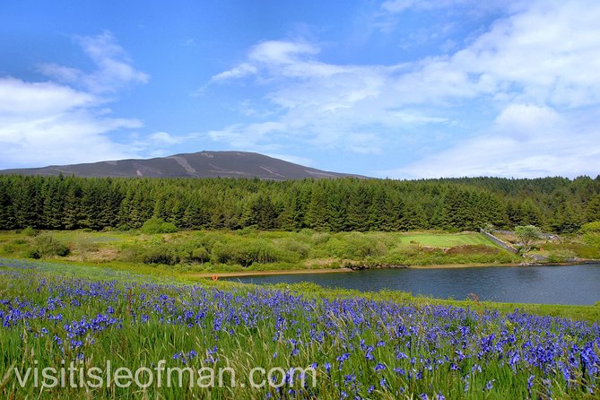 Half Day Private Tours of the Isle of Man With a Qualified Driver Guide - Pricing and Cancellation