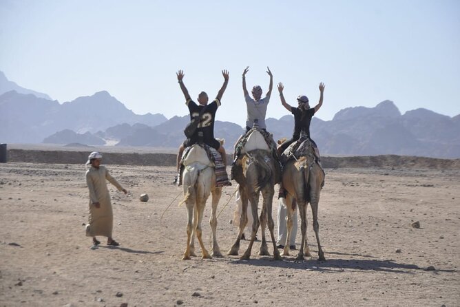 Half Day Quad Bike Adventure and Camel Ride in Beduion Camp - Booking and Cancellation