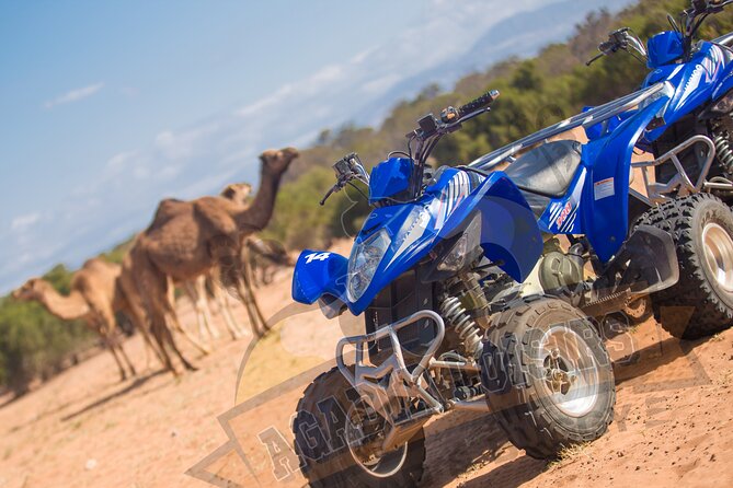 Half-Day QUAD in Agadir + Pick-Up Included From Agadir - Terrain and Scenery