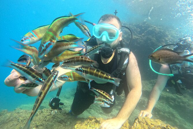 Half Day Scuba Diving @ Duden Waterfalls - Meeting Details