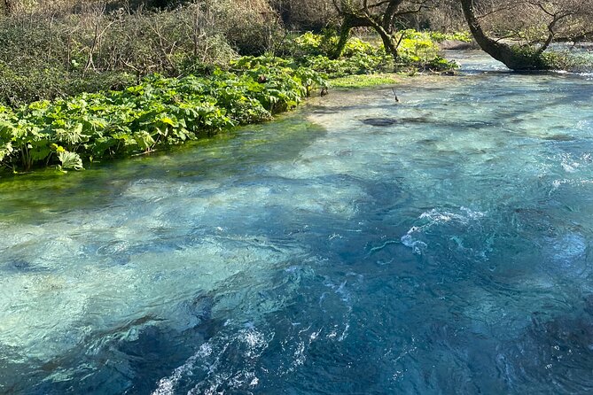 Half-Day Sightseeing Tour to Gjirokastra and Blue Eye - Tour Duration and Schedule