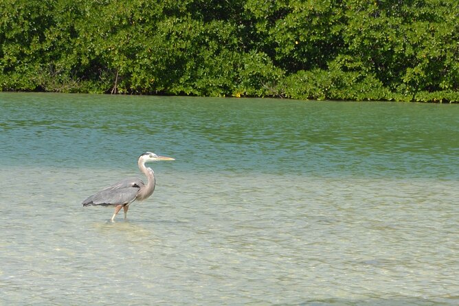 Half-Day Tour Discovering Sian Ka'An With Lunch - What to Expect