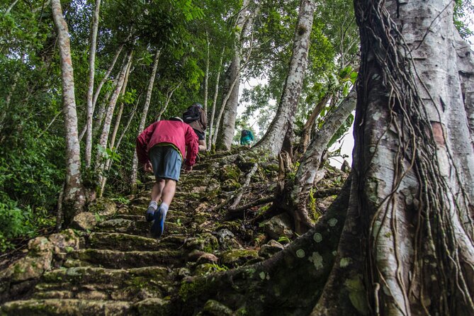 Half Day Tour to the Heart of Maya Civilization in Belize - Culinary Delight
