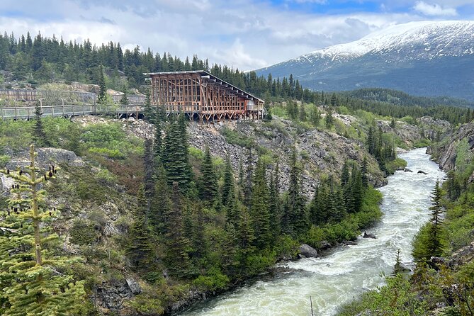 Half Day Tour to Yukon and Suspension Bridge - Gourmet Meal Experience
