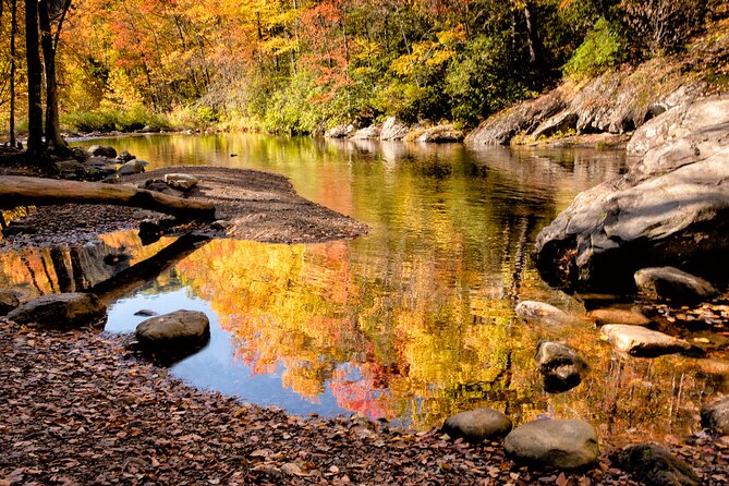 Half-Day Tour With Instruction in Autumn Color Photography - Capturing Autumn Landscapes