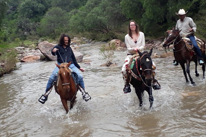 Half Day Trail Riding in San Miguel De Allende - Recommendations